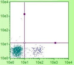 CD8 Antibody (CT-8), FITC, Novus Biologicals 0.25mg; FITC:Antibodies, Monoclonal